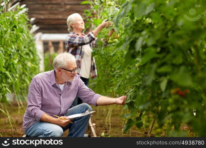 farming, gardening, agriculture, harvesting and people concept - senior couple with clipboard growing tomatoes at farm greenhouse. senior couple growing tomatoes at farm greenhouse