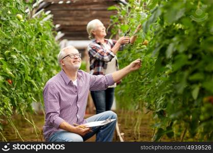 farming, gardening, agriculture, harvesting and people concept - senior couple with clipboard growing tomatoes at farm greenhouse. senior couple growing tomatoes at farm greenhouse