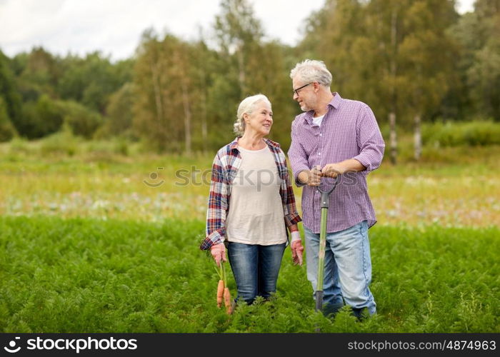 farming, gardening, agriculture, harvesting and people concept - senior couple with shovel picking carrots at farm garden