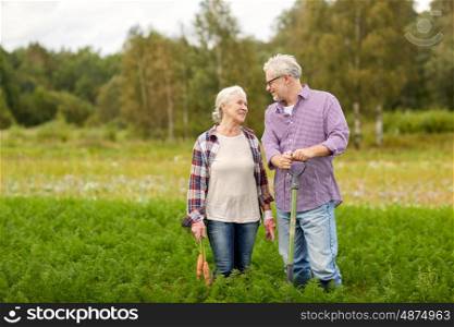 farming, gardening, agriculture, harvesting and people concept - senior couple with shovel picking carrots at farm garden