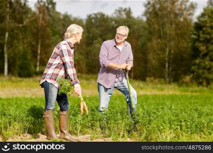 farming, gardening, agriculture, harvesting and people concept - senior couple with shovel picking carrots at farm garden