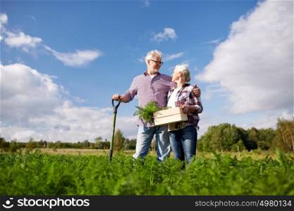 farming, gardening, agriculture, harvesting and people concept - senior couple with shovel picking carrots at farm garden. senior couple with shovel picking carrots on farm