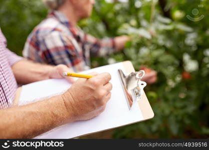 farming, gardening, harvesting, agriculture and people concept - senior couple with clipboard at farm. senior couple with clipboard at farm