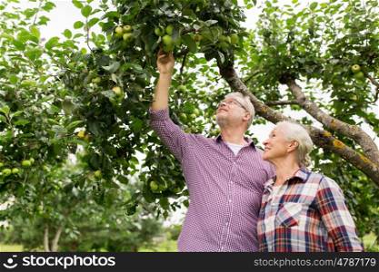 farming, gardening, harvesting and people concept - senior couple with apple tree at summer garden
