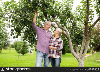 farming, gardening, harvesting and people concept - senior couple with apple tree at summer garden