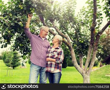 farming, gardening, harvesting and people concept - senior couple with apple tree at summer garden. senior couple with apple tree at summer garden