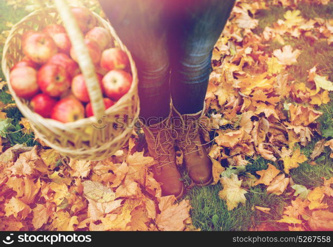 farming, gardening, harvesting and people concept - woman holding basket of apples at autumn garden. woman with basket of apples at autumn garden