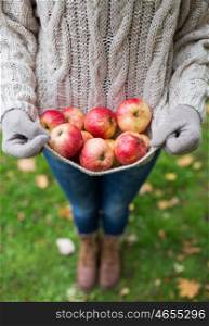 farming, gardening, harvesting and people concept - woman with apples at autumn garden
