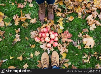 farming, season, gardening, harvesting and people concept - couple of feet in boots with apples and autumn leaves on grass