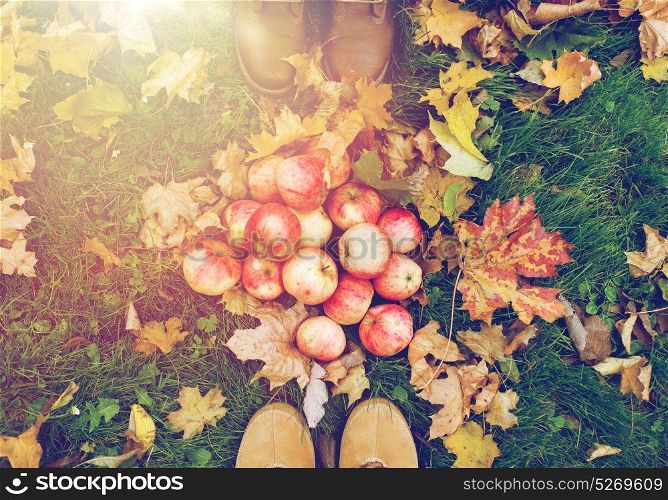farming, season, gardening, harvesting and people concept - couple of feet in boots with apples and autumn leaves on grass. feet in boots with apples and autumn leaves