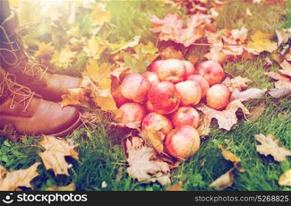 farming, season, gardening, harvesting and people concept - woman feet in boots with apples and autumn leaves. woman feet in boots with apples and autumn leaves
