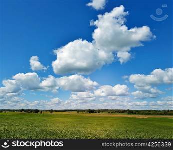 Farmland And A Beautiful Sky In The Summer