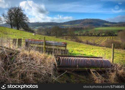 Farmland at Upper Ridney, Eardiston, Worcestershire, England.