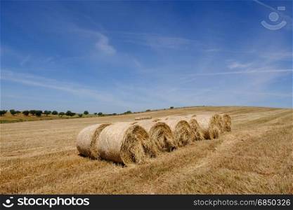 Farmland countryside landscape. Field of harvest wheat