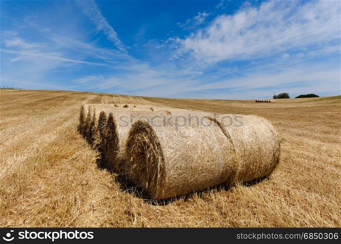 Farmland countryside landscape. Field of harvest wheat and straw bale