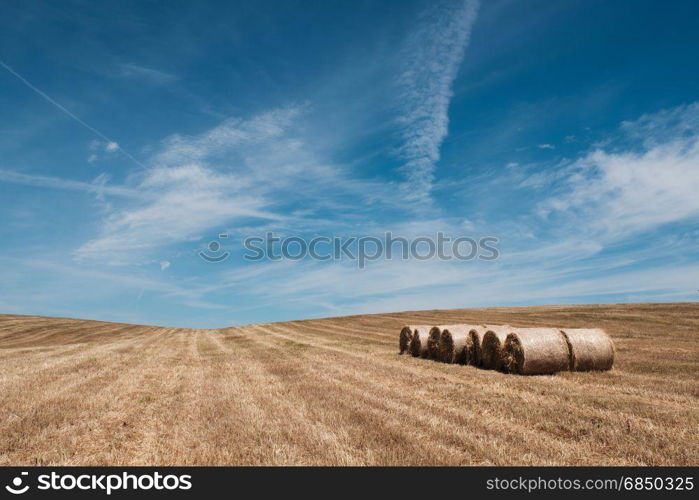 Farmland countryside landscape. Field of harvest wheat and straw bale