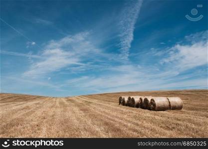 Farmland countryside landscape. Field of harvest wheat and straw bale
