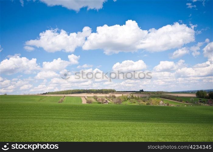 farmland landscape in the springtime