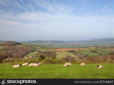 Farmland near White Castle, Monmouthshire, Wales, Great Britain.