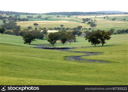 Farmland near Young, in South-Western New South Wales, Australia