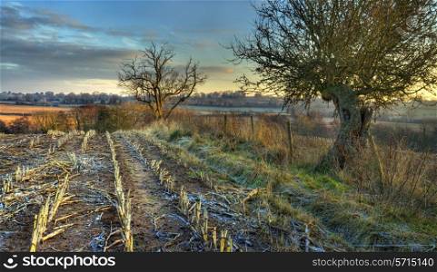 Farmland on a cold winters evening, Drayton near Belbroughton, Worcestershire, England.