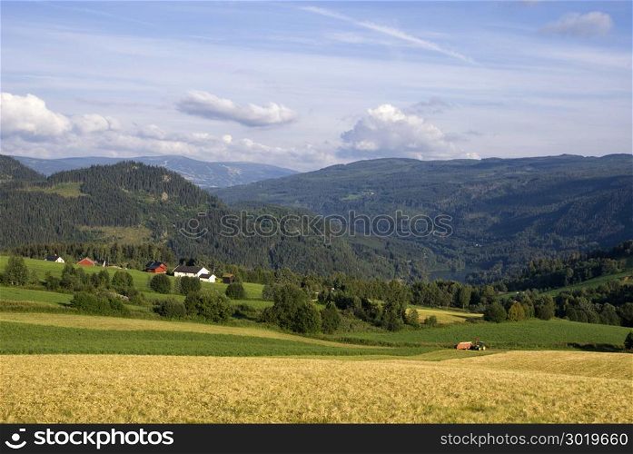 Farmland on a mountain slope in the norwegian valley Gudbrandsdalen. Farmland in Gudbrandsdalen