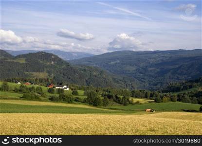 Farmland on a mountain slope in the norwegian valley Gudbrandsdalen. Farmland in Gudbrandsdalen