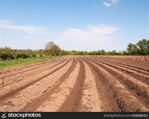 farmland with tractor tracks in the soil mud field wet and waiting to be planted in