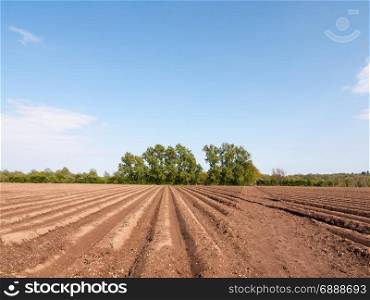 farmland with tractor tracks in the soil mud field wet and waiting to be planted in