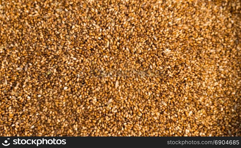 Farrow Grains Wheat Whole Food