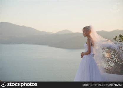 Fashion art photo of young beautiful bride. Wedding