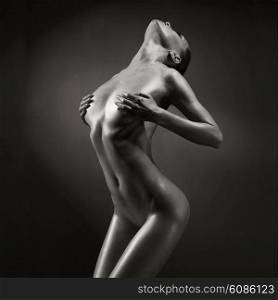 Fashion art studio photo of elegant naked lady