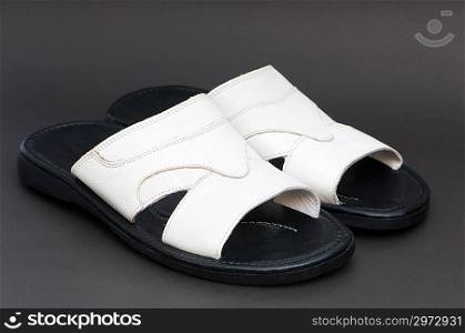 Fashion concept - Summer shoes on the background