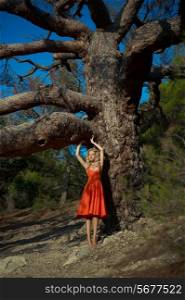 Fashion photo of beautiful lady and mighty tree