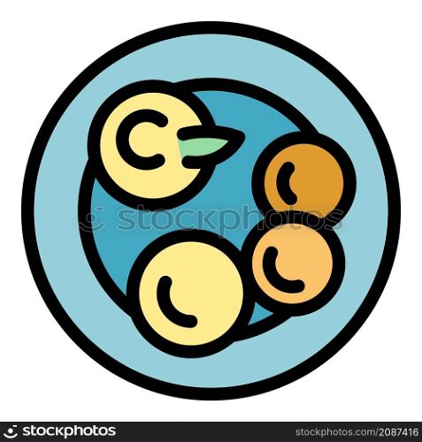 Fast food falafel icon. Outline fast food falafel vector icon color flat isolated. Fast food falafel icon color outline vector
