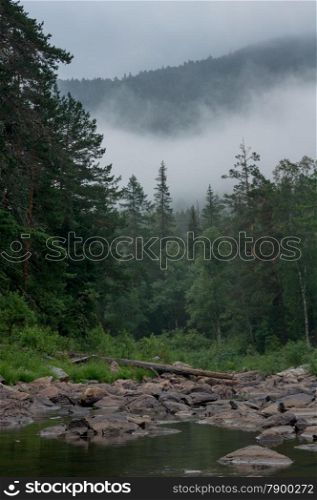 fast mountain river flowing among stones. landscape