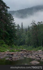 fast mountain river flowing among stones. landscape