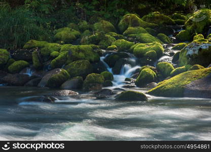 Fast mountain river in Altay. Fast mountain river with the purest water in Altay mountains, Siberia, Russia