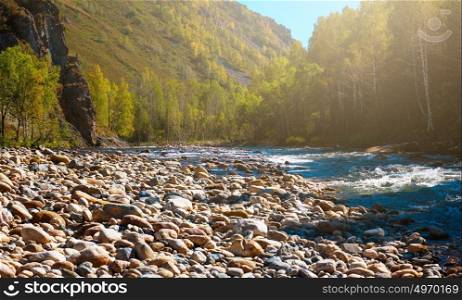 Fast mountain river in Altay. Fast mountain river with the purest water in Altay mountains, Siberia, Russia