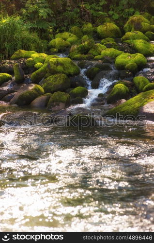 Fast mountain river with the purest water in Altay mountains, Siberia, Russia