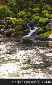 Fast mountain river with the purest water in Altay mountains, Siberia, Russia