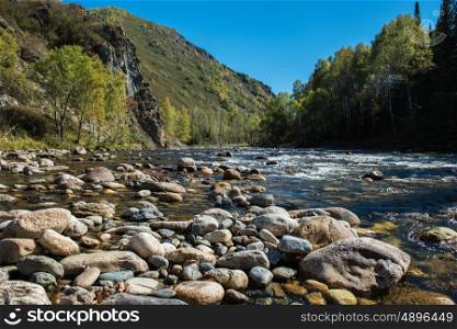 Fast mountain river with the purest water in Altay mountains, Siberia, Russia