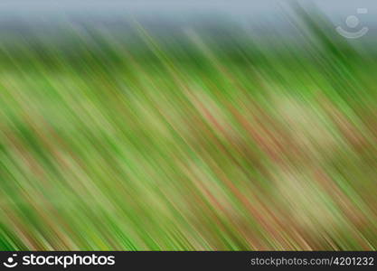 Fast-moving Grass