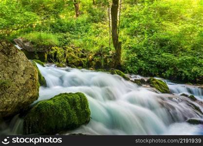 Fast river flowing in the forest of Montenegro. Fast forest river