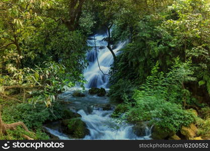 Fast stream in the woods