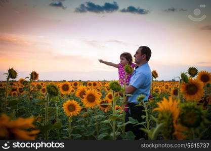 Father and daughter in the sunflowers field look into the distance