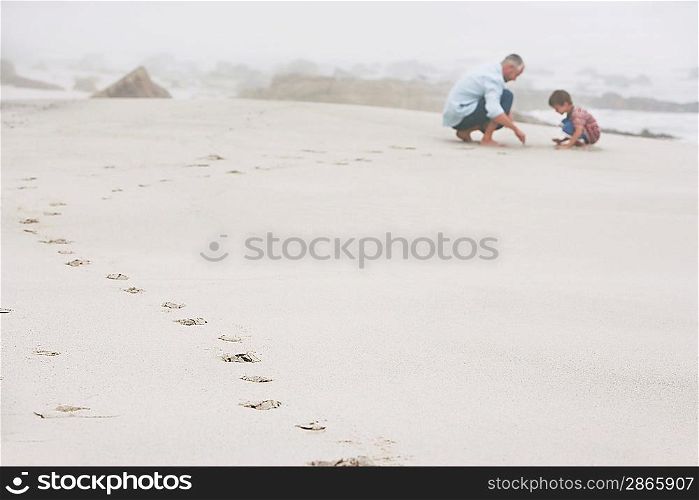 Father and son (5-6) playing on beach