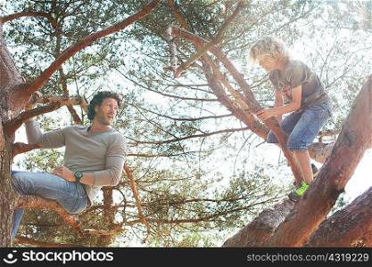 Father and son climbing tree