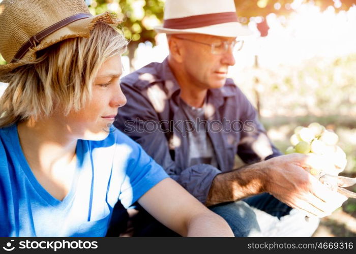 Father and son in vineyard. Father and son together in vineyard