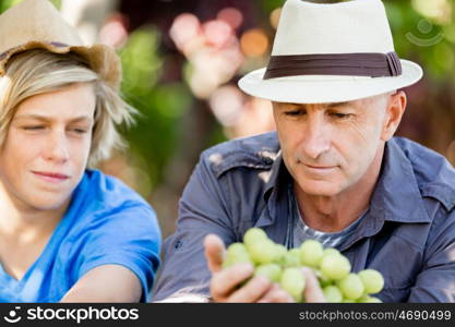 Father and son in vineyard. Father and son together in vineyard